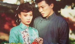 电视剧梅花,乱世佳人，风华绝代